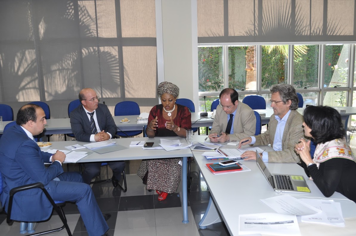 Amy Zalman working with global partners